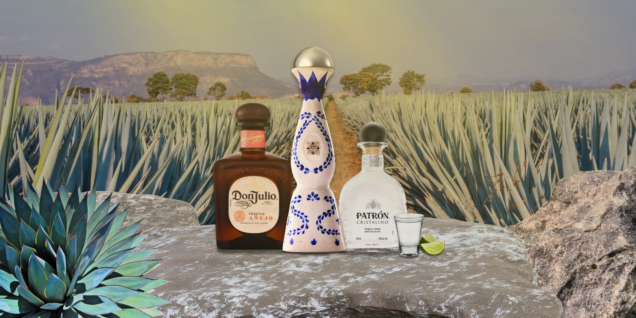 Tequilas
