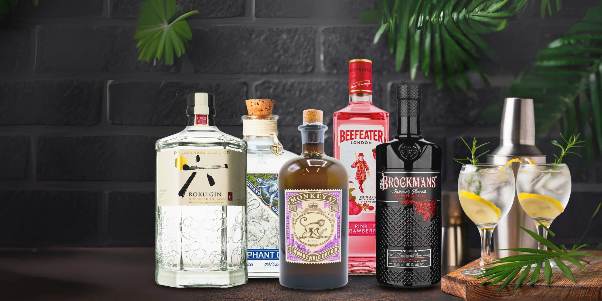 Gins